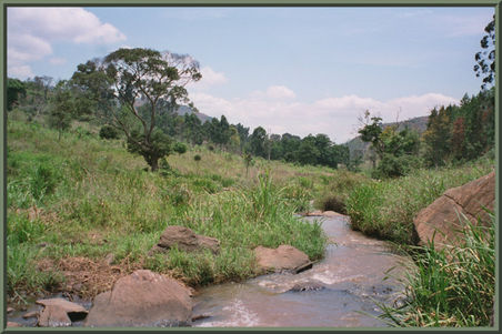 Fluss Tansania